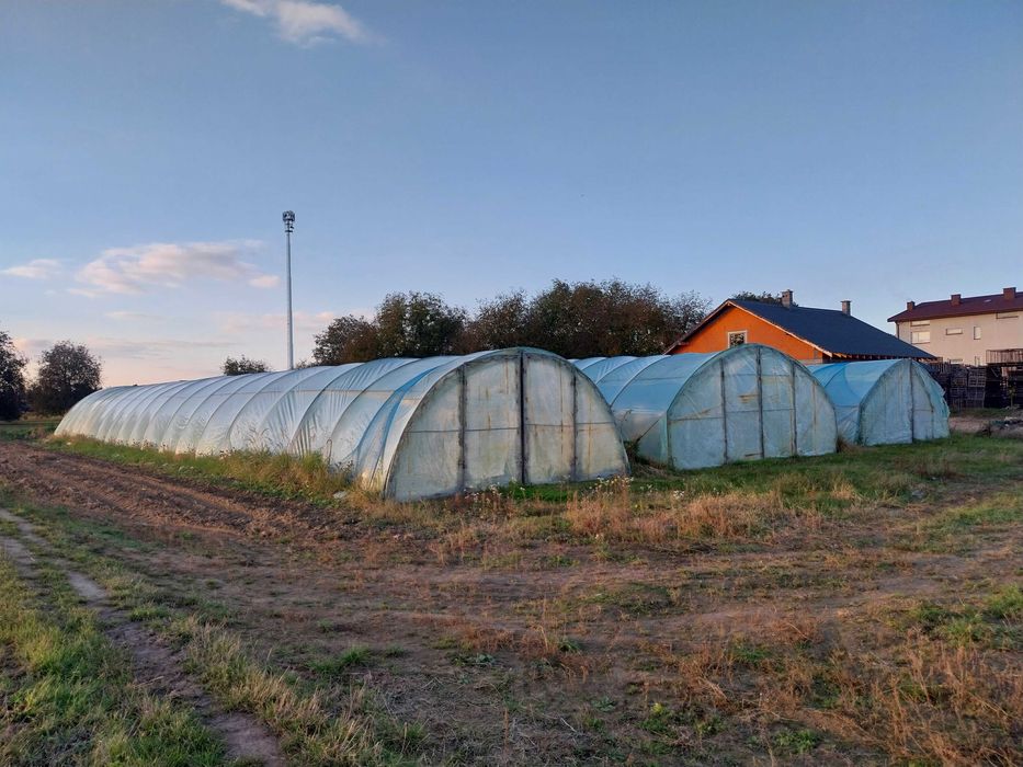 Tunele foliowe 30x7 m, 30x6 m, 20x4 m