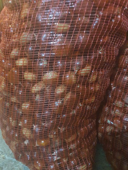 Castanhas de ótima qualidade