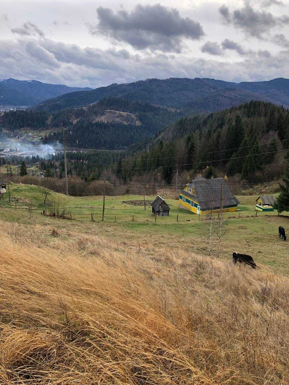 Земельна ділянка в Яремче