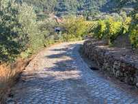 Quinta no Douro  - Ferreiros de Avões