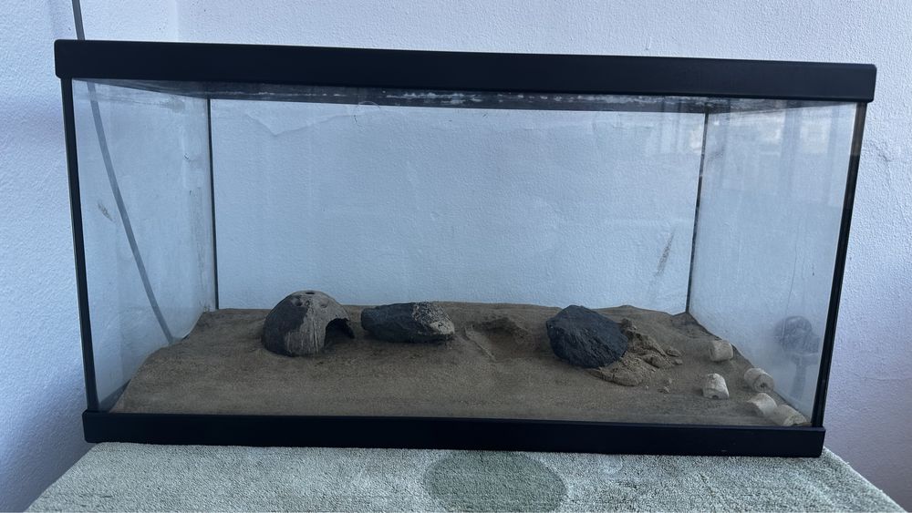 Aquário 55 litros