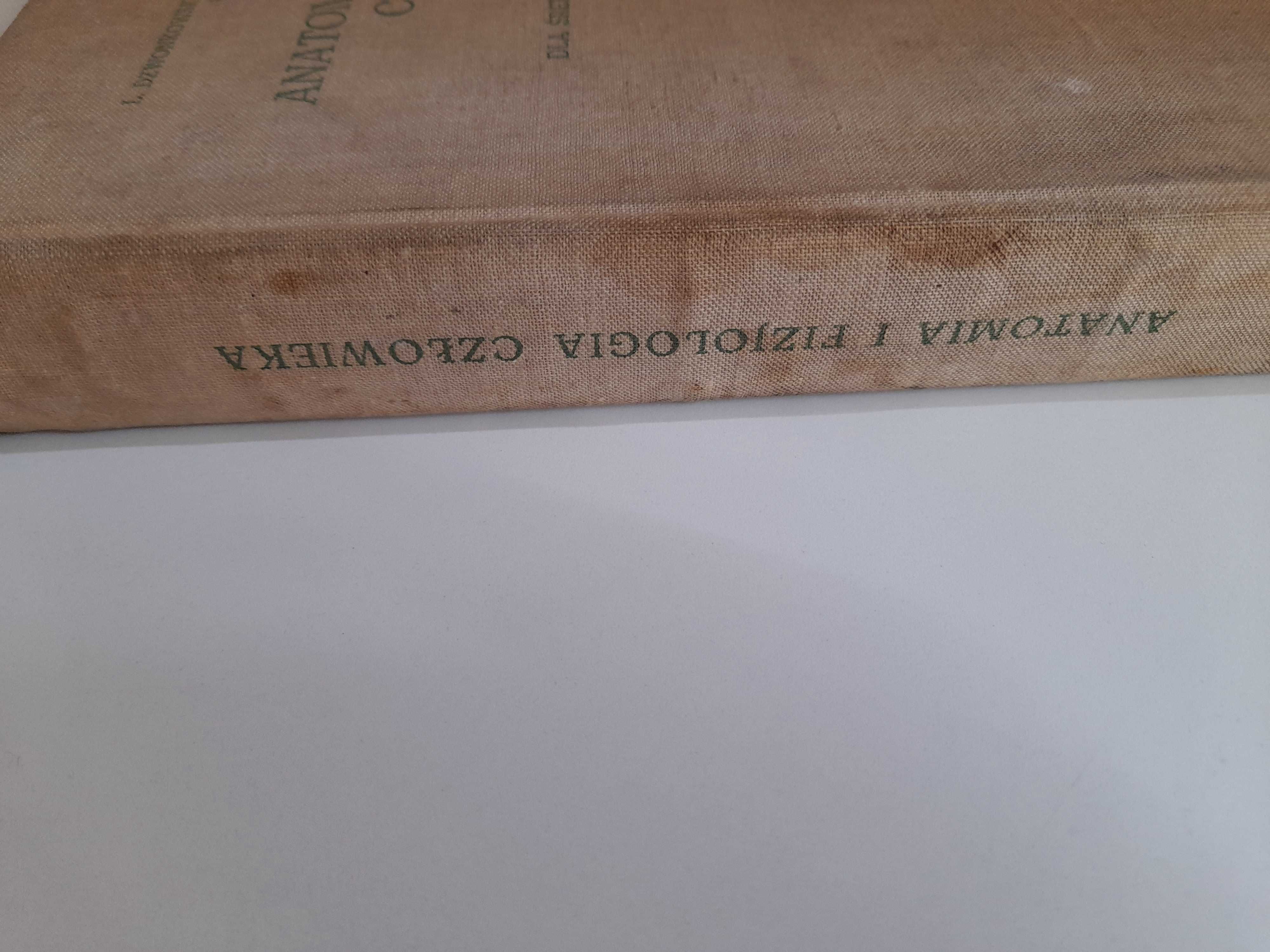 Anatomia i Fizjologia Człowieka Michajlik Ramotowski