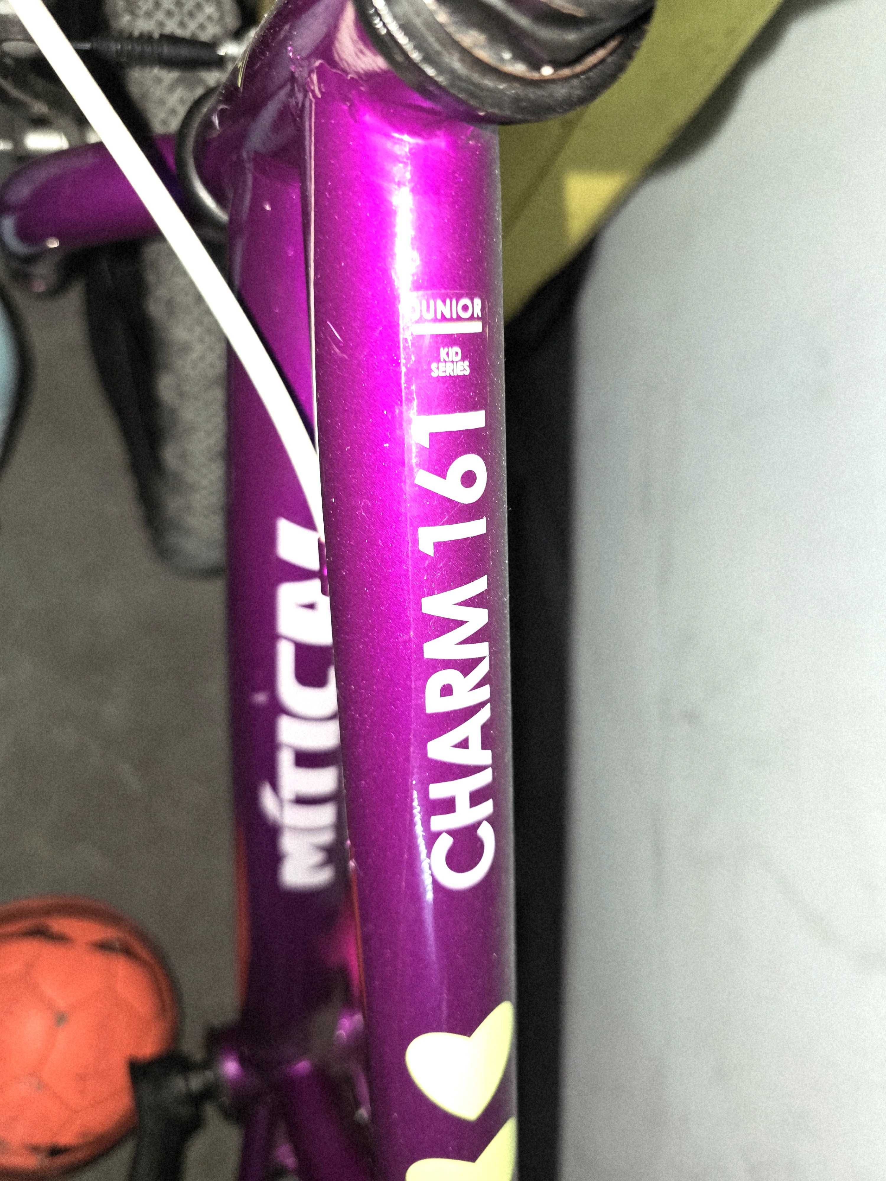 Bicicleta roda 16 como nova