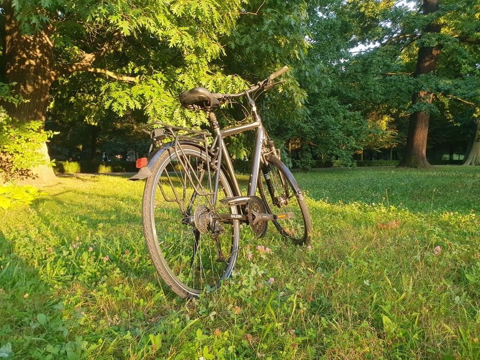 Rower męski trekkingowy miejski Raleigh Shimano
