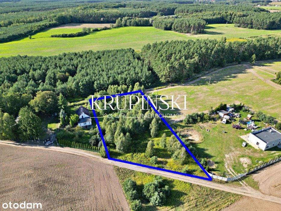 Działka w Dobrzejewicach, tuż pod lasem!