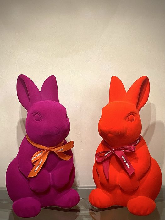 Zajac Stary Browar ZESTAW 2x46cm Fluo Magenta & Fluo Orange 2023