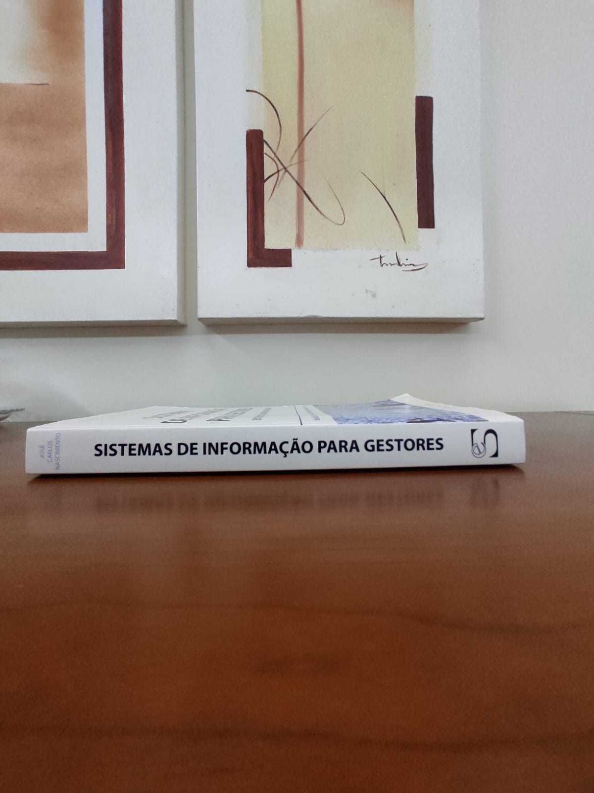 Livro de Sistemas de Informação para Gestores