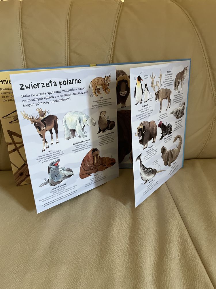 Nowa książka księga wielkich zwierząt 4 duże rozkładane strony