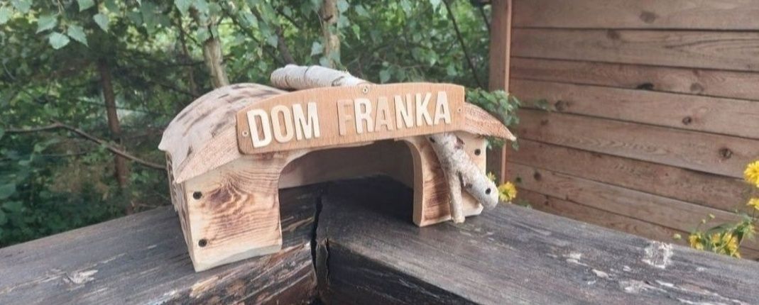 Dom dla żółwia z napisem imieniem.