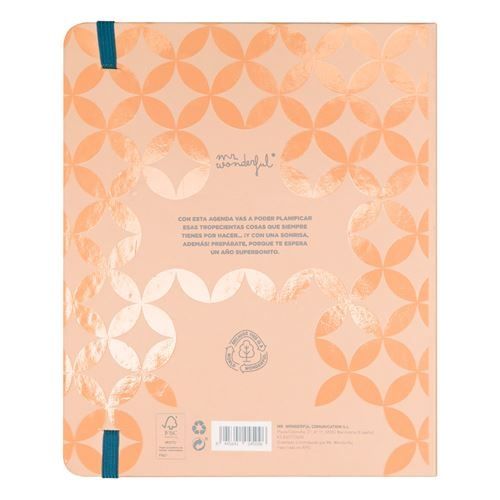 Agenda mr wonderful
