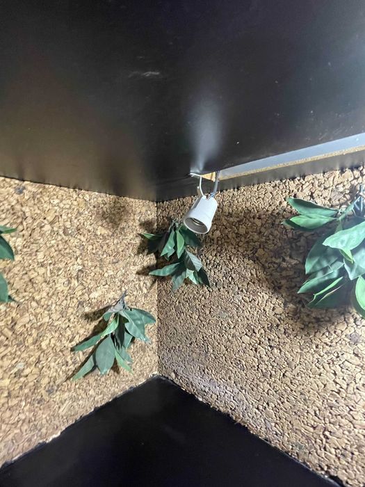 Terrarium 100x50 z oświetleniem – idealne dla agamy, gotowe do użycia