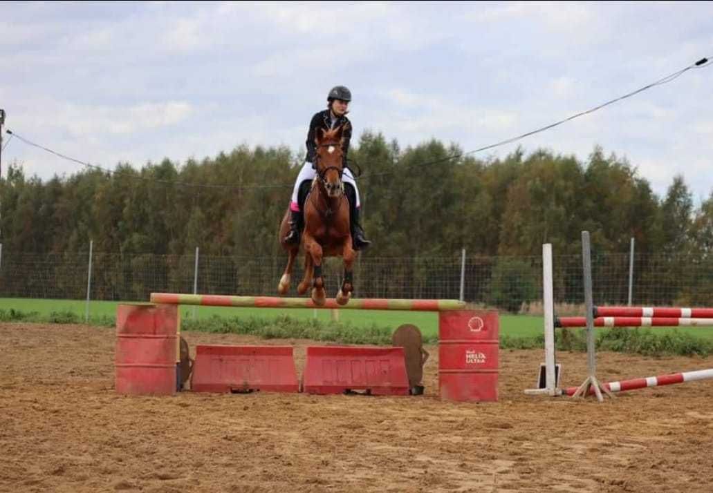 Sprzedam / zamienie