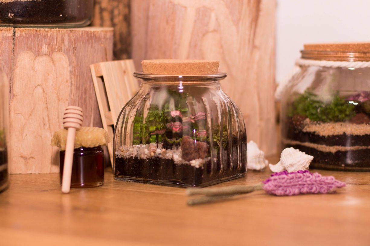 Terrários - vários tamanhos