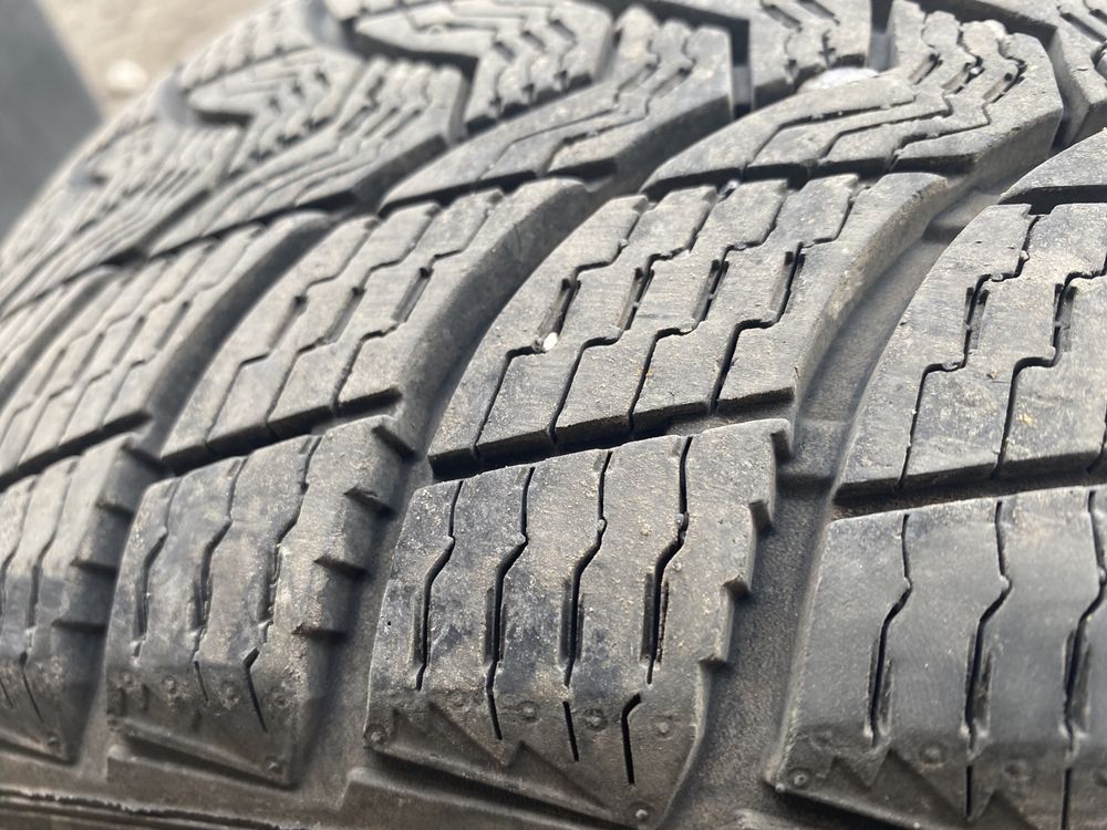 Шини зима Premiori 205/55 r16 2020р