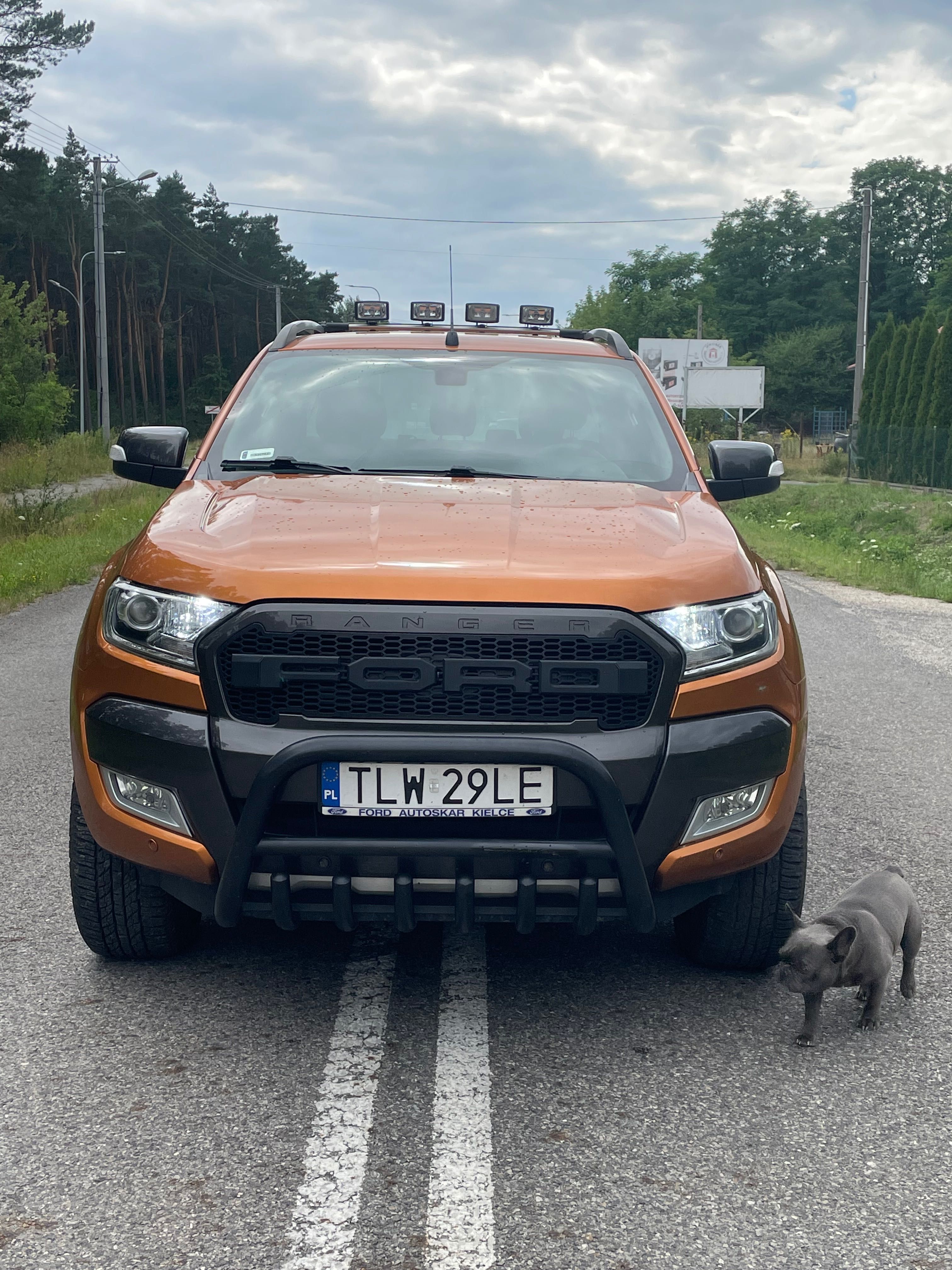 Ford Ranger Waldtrak 3,2 d polski salon