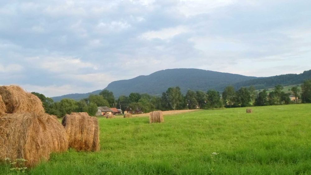 Działka  budowlana 5500 metrów