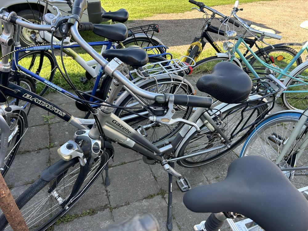Rower gazelle, giant, batavus