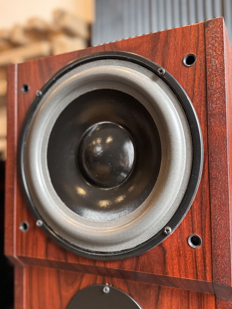 Dynaudio MSP 80 koumny podstawkowe