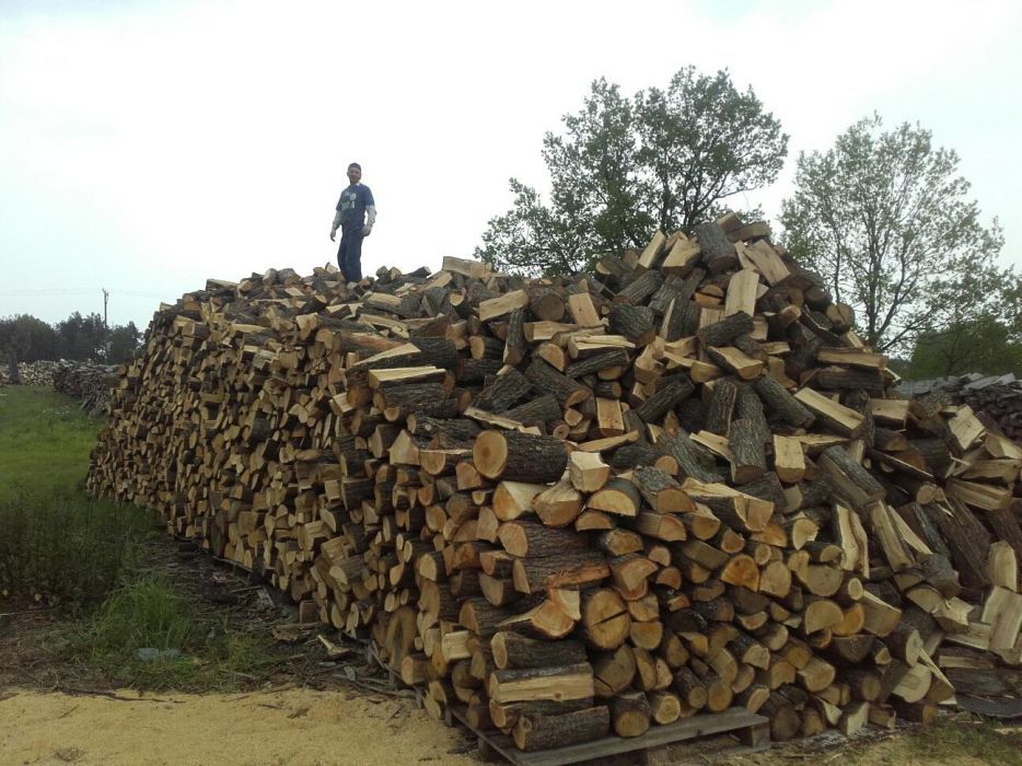 Drewno kominkowe opałowe Warszawa i okolice