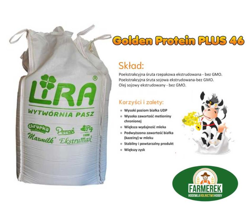 Golden Protein Plus 46 % białko soja białko tona luz
