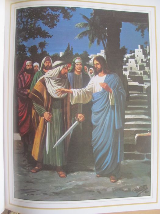 A Vida de Jesus - C/Portes