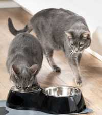 Antypoślizgowa miska miski na jedzenie wodę dla zwierząt psa kota