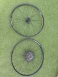 Rodas 29” de rolamentos cepo Shimano/Sram 12v