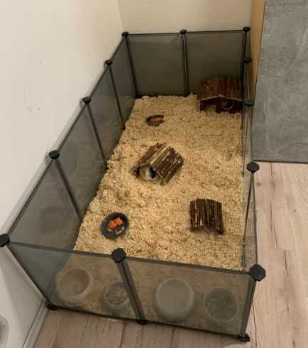 Klatka kojec wybieg zagroda dla krolika chomika świnki morskiej