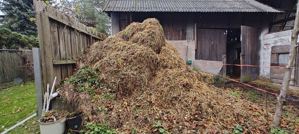Obornik koński oddam za darmo ,duża ilość
