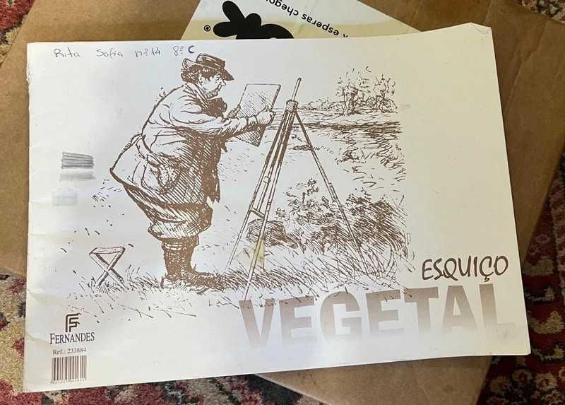 Lote de Papel para Desenho, Manualidades e Trabalhos Escolares