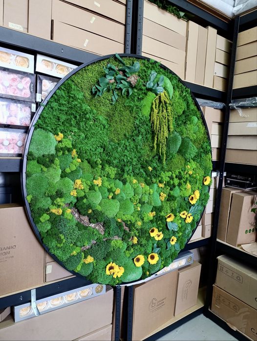 Картина с Мхом. Стабілізований Мох Картина