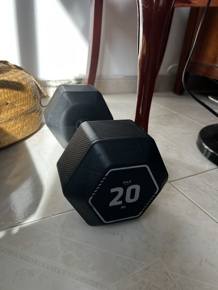 Halter 20kg Decathlon