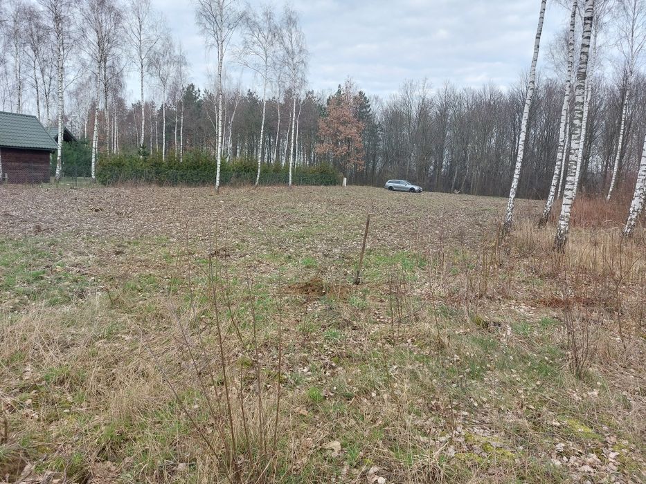 Sprzedam działkę budowlaną z warunkami zabudowy  w pięknej okolicy.