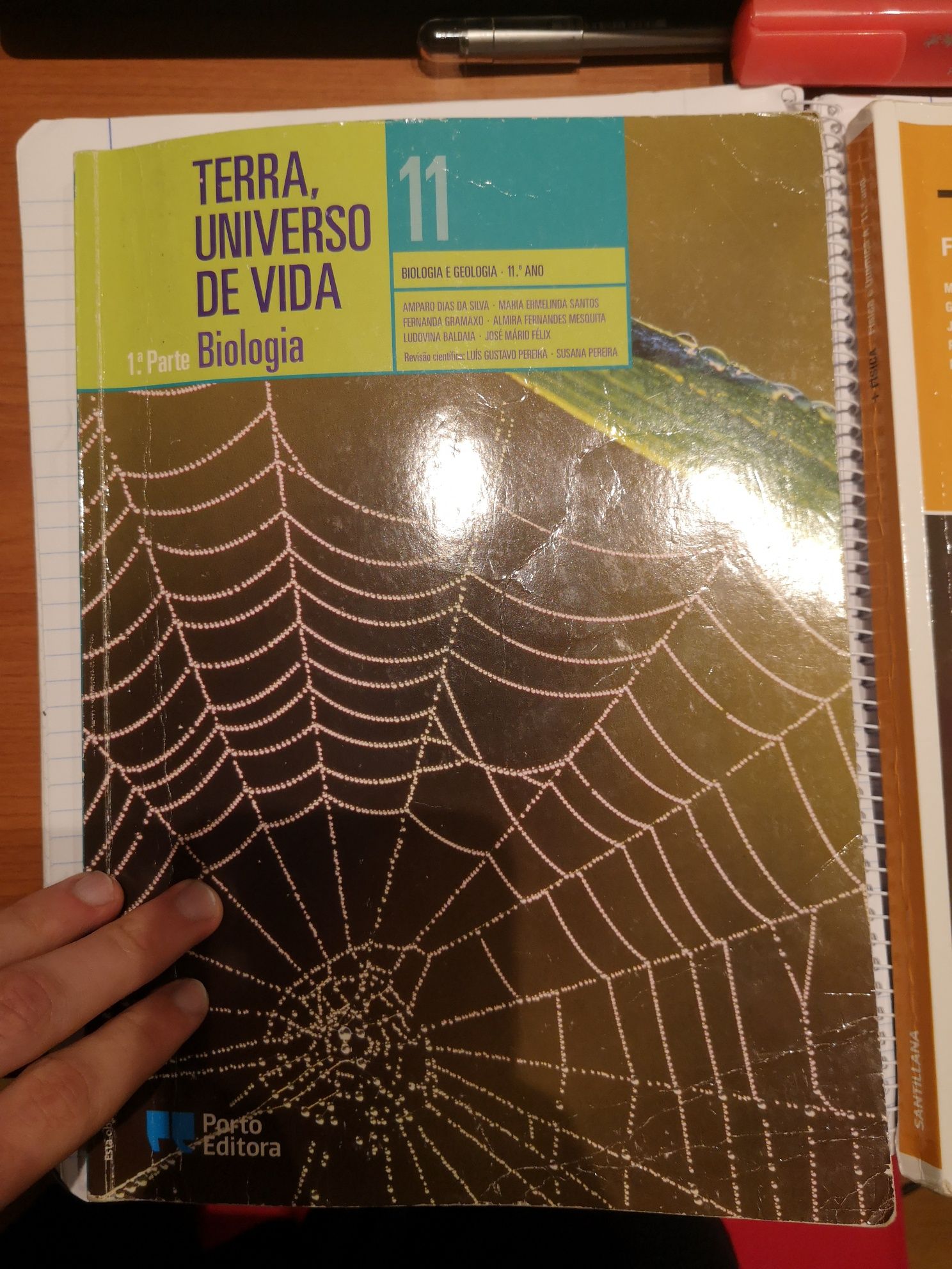 Explicações 11° Ano Biologia e Geologia, Explicador