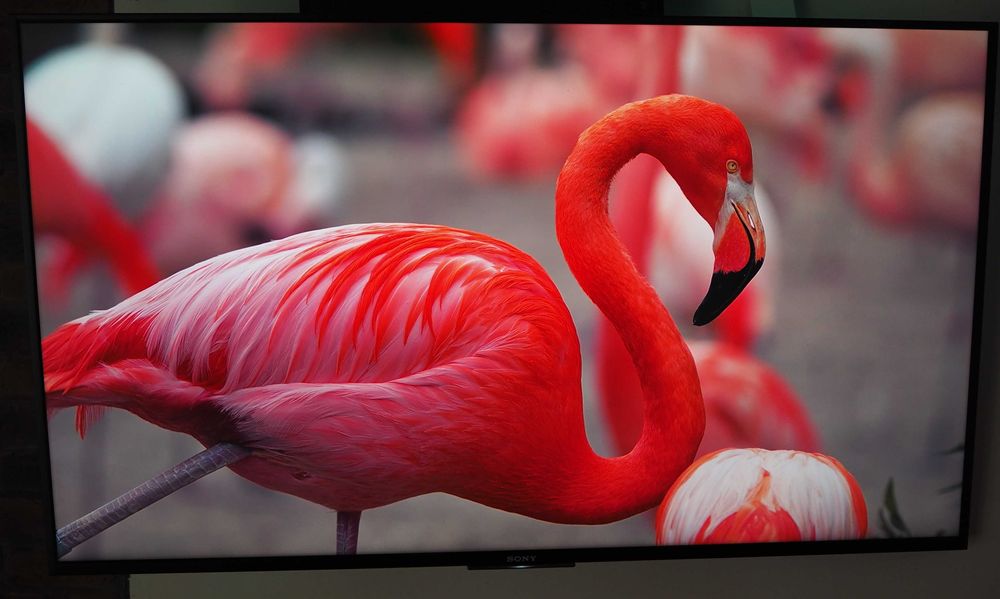Telewizor Sony Bravia KD-55X8509C Android TV 4K LED