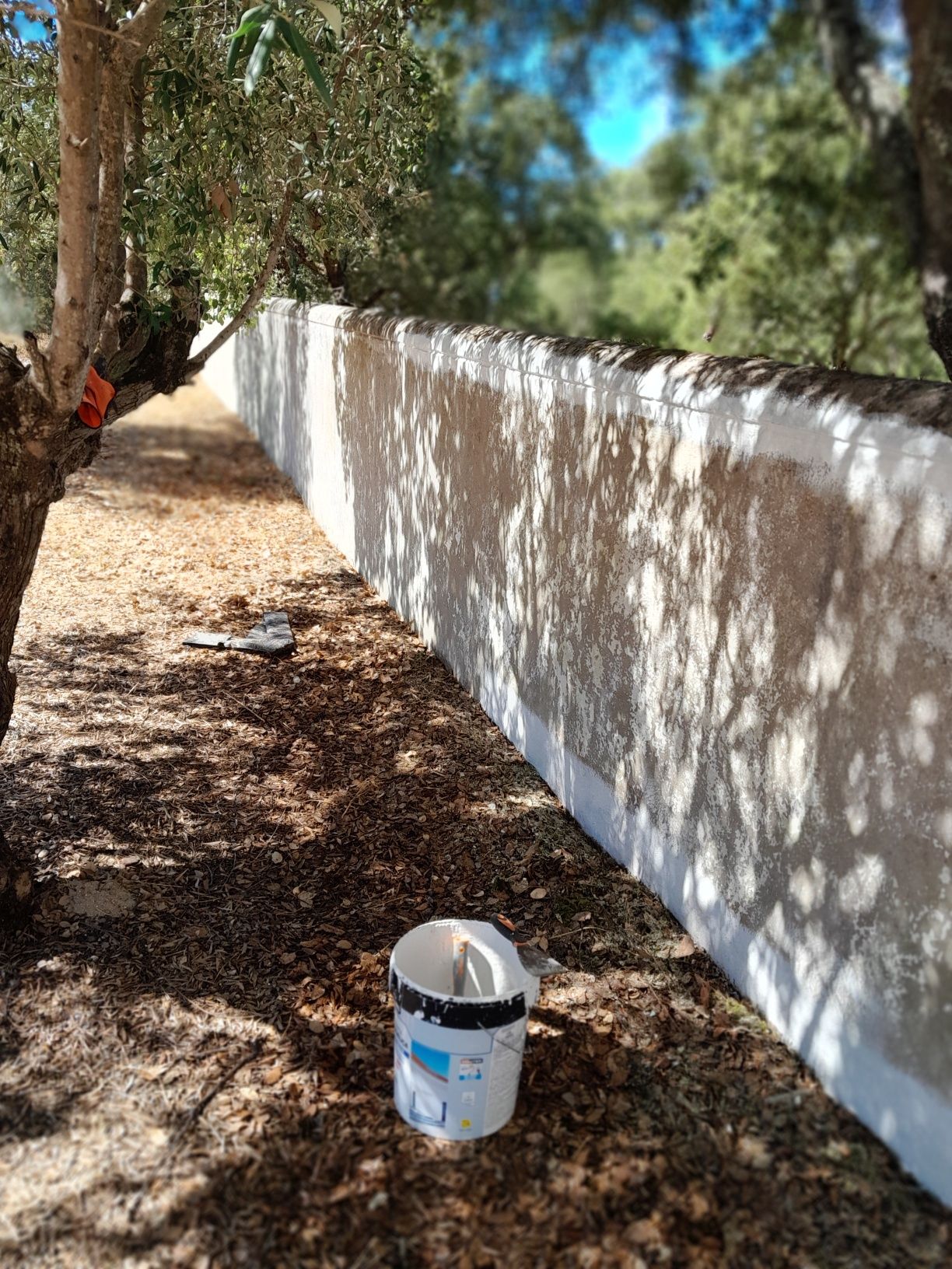 Trabalhos pinturas