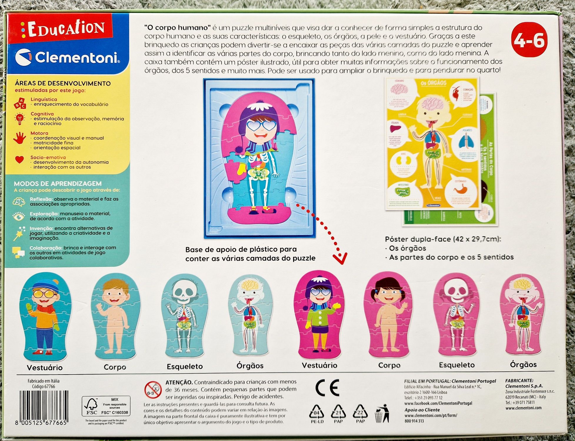 Puzzle O Corpo Humano