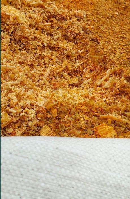 Стружка сосна. В бегах. Тирса соснова.