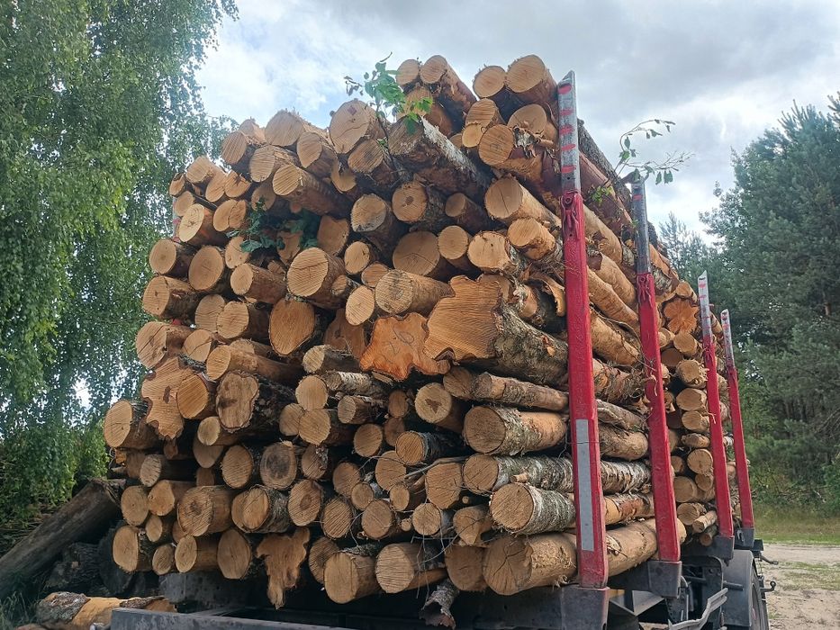 BRZOZA drewno kominkowe opałowe TRANSPORT do klienta. olcha