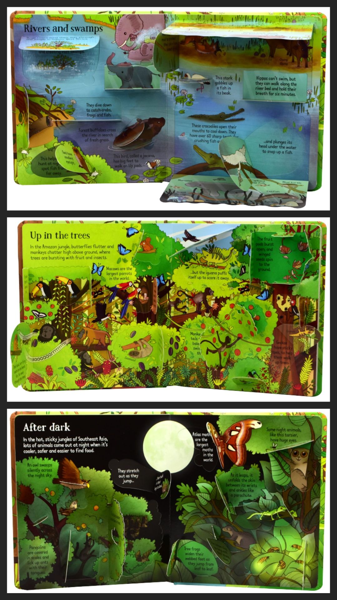 The Jungle Usborne Look Inside z okienkami po angielsku
