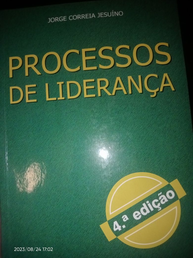 Processo de liderança -MBA intensivo