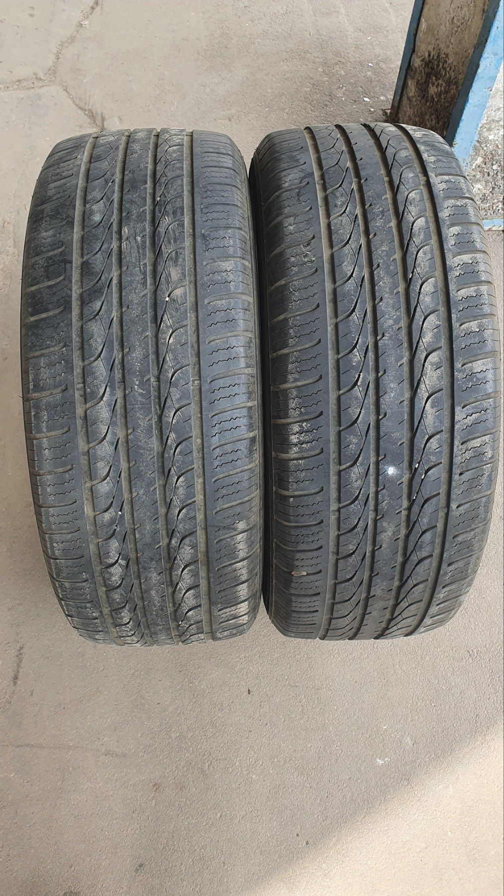 Pirelli Scorpions verge пара и Wild Spirit Sport 255/50r20 резина