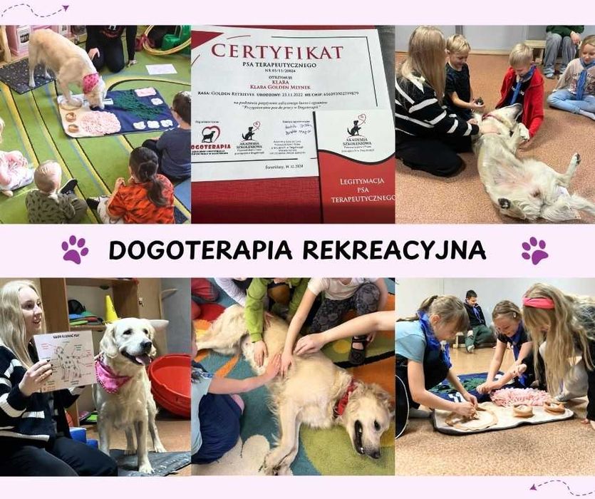 Animatorzy/ Karnawał/ Fotobudka 360 / Mikołaj/ Kule bumper ball