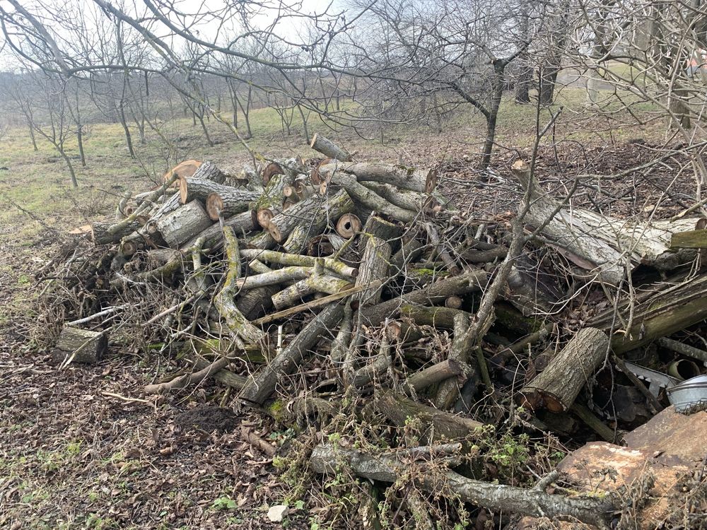 Дрова горіх рівне не рубані ціна договірна