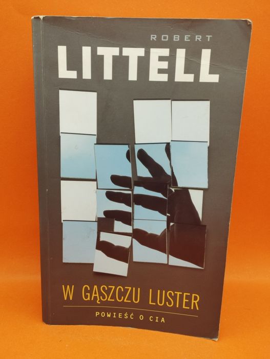 W gąszczu luster - Robert Littell