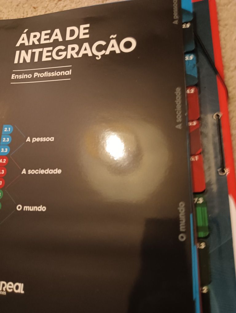 ÁREA DE INTEGRAÇÃO Ano 2 Areal  Dossier do professor completo Novo!!