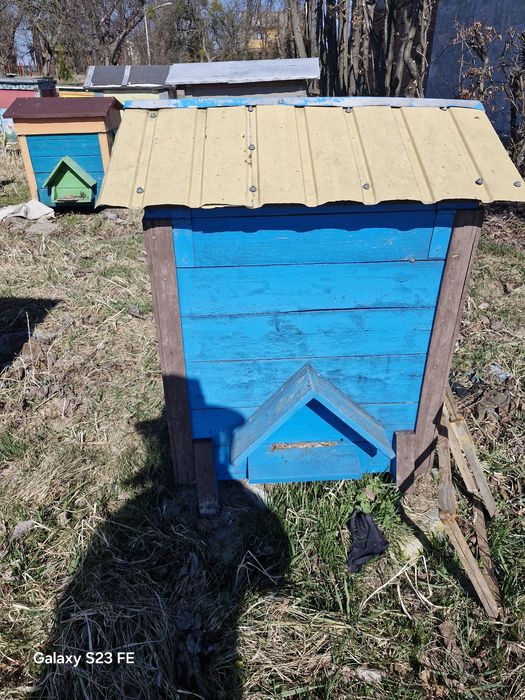 Ule warszawskie ,dadant