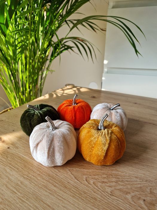 Dynie dekoracyjne welurowe nowe