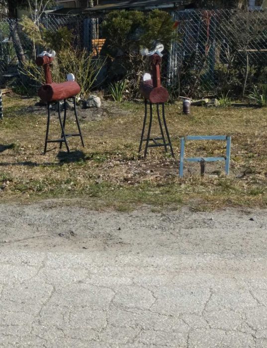 Renifery lub Jelonki