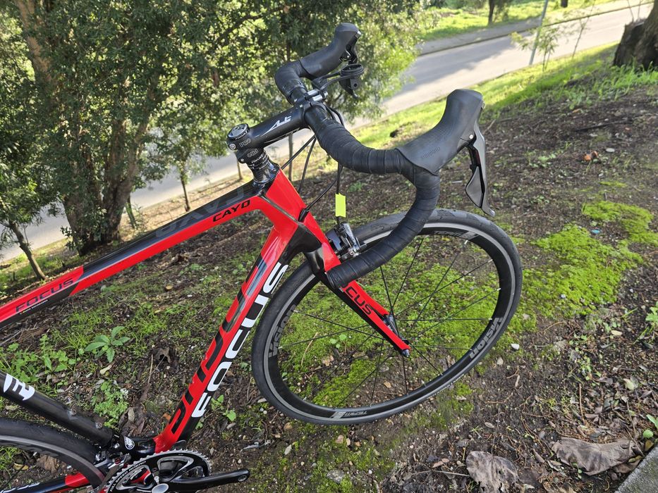 Focus cayo L 11x2v como nova